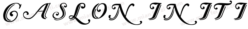 Caslon Initials Regu字体转换